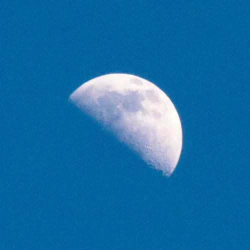 01.04.2020.IMG_8445