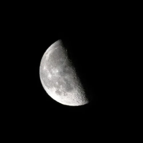 16.03.2020.IMG_8223
