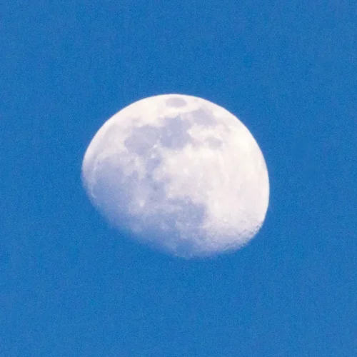 4.04.2020.IMG_8455