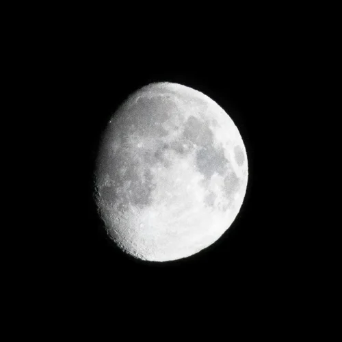 5.04.2020.IMG_8459