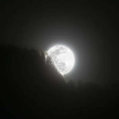 7.04.2020.IMG_8461 2