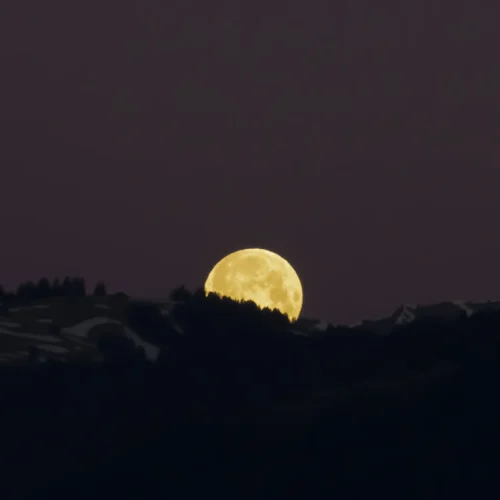 8.04.2020.IMG_8486_1 2