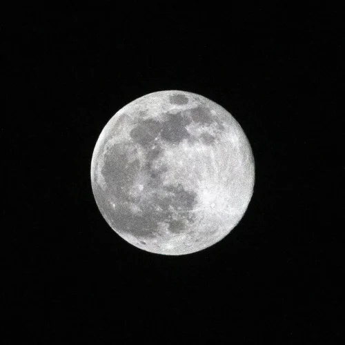 9.03.2020.IMG_8215