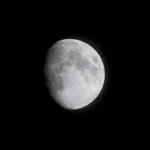 IMG_5434_1